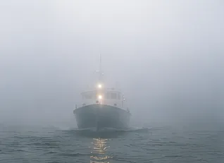 Restricted Visibility