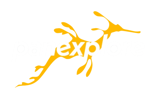 Pangea Exploration logo